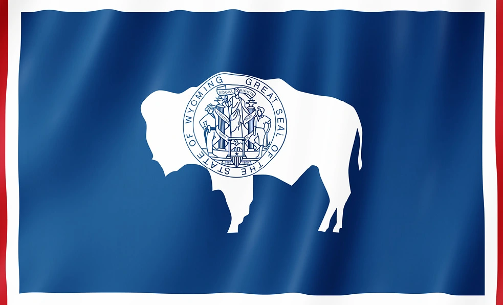 تأسيس شركة أمريكية في ولاية وايومنغ